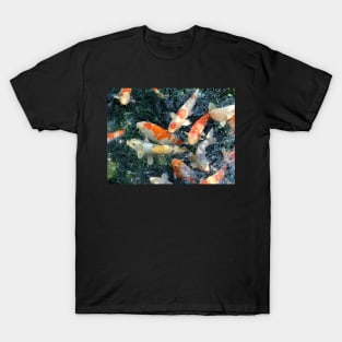 Koi Fish Pond Japan T-Shirt